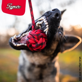 Preview: Wurfball - M - orange mit schwarzen Punkten